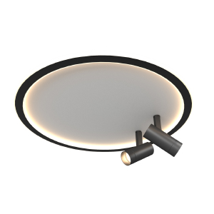 Светильник потолочный Medelina 0822CL-74BK