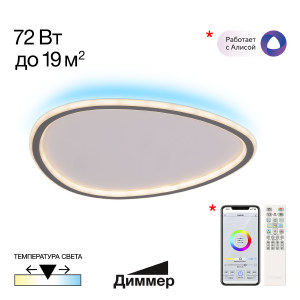 Потолочная люстра Тrio CL215B251E