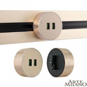 Трековая розетка Am-track-sockets 380011TS/USBx2 Gold