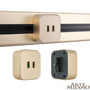 Трековая розетка Am-track-sockets 380022TS/USBx2 Gold