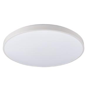 Светильник потолочный Agnes Round Led Pro 10979