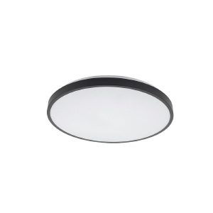 Светильник потолочный Agnes Round Led Pro 10972