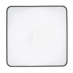 Светильник потолочный Agnes Square Led Pro 10987