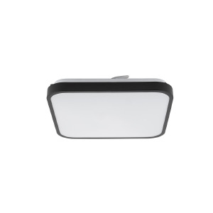 Светильник потолочный Agnes Square Led Pro 10983