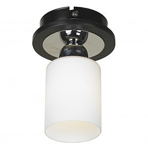 Светильник потолочный Lussole Caprile LSF-6107-01