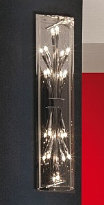 Настенно потолочный светильник Lussole Vitravo LSQ-4001-10