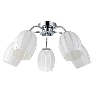 Потолочная люстра Lussole Brindisi LSF-6703-05