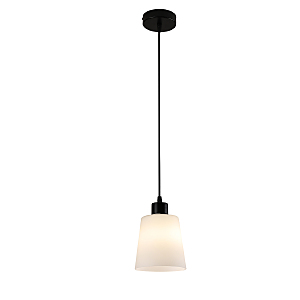Светильник подвесной Clarity 120004/1P E27*60W Black ES0000041