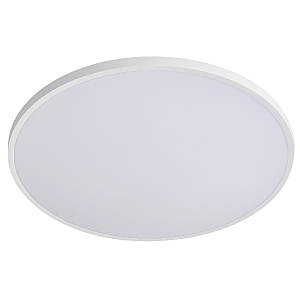 Светильник потолочный Arco Eco 225751