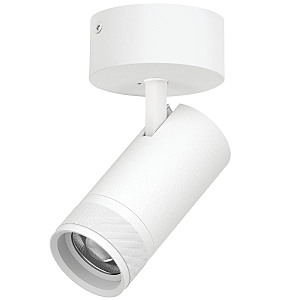 Светильник спот Canno Pro C4306SO