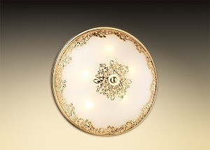 Настенно-потолочный светильник Odeon Light Alesia 2676/5C