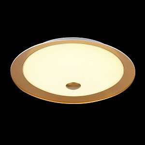 Светильник потолочный Euler CL815-PT35-G