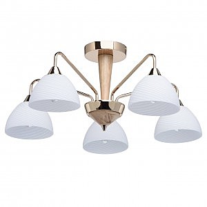 Потолочная люстра MW Light Николь 364014105