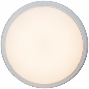 Светильник потолочный Brilliant VIGOR G94154/05
