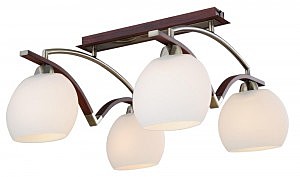 Потолочная люстра ST Luce SL196.302.04