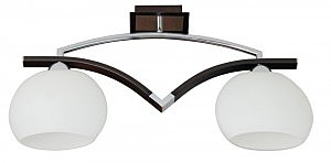 Потолочная люстра ST Luce SL196.702.02