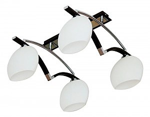 Потолочная люстра ST Luce SL196.702.04