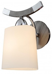 Настенное бра ST Luce SL320.701.01