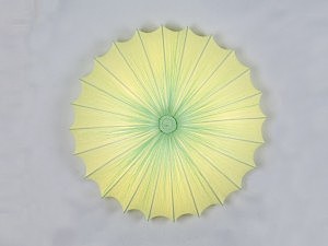 Светильник потолочный ST Luce SL351.122.08