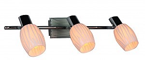 Светильник спот Harich OML-21201-03