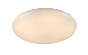 Настенно потолочный светильник ST Luce SL875.042.01