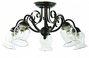 Потолочная люстра Stelia SL145.302.05