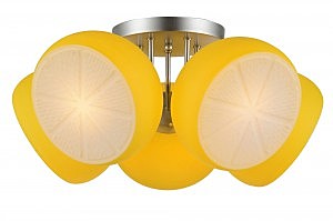 Потолочная люстра Arancio SL482.902.05