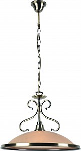 Светильник подвесной Arte Lamp A6905SP-1AB