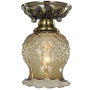 Потолочный светильник Favourite  Parma I 1386-1U