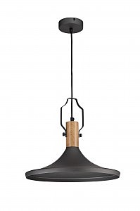 Светильник подвесной Bicones P359-PL-350-C