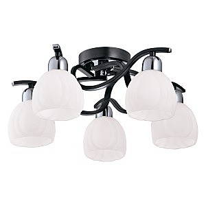Потолочная люстра Coral Springs 389/5PF-Blackchrome