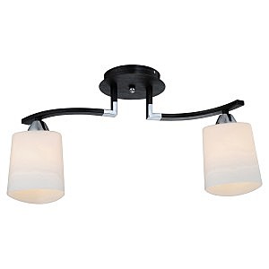 Потолочная люстра Costa Mesa 860/2PF-Dark