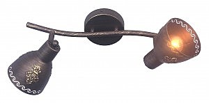 Светильник спот Martos 1799-2U