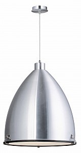 Светильник подвесной Loft 31416/50/12