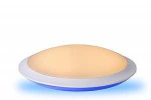 Настенно потолочный светильник Bonny 79174/18/35