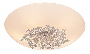 Настенно потолочный светильник Verbena 836.50.5