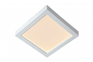Светильник потолочный TENDO-LED 07101-18-31