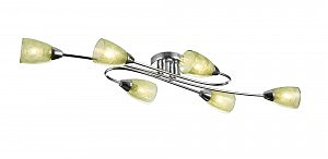 Потолочная люстра Flash FR5104-CL-06-GN