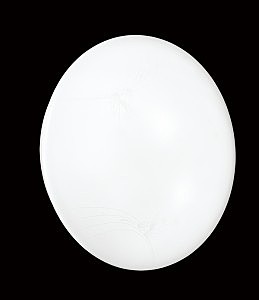 Настенно потолочный светильник Ava 2026/C