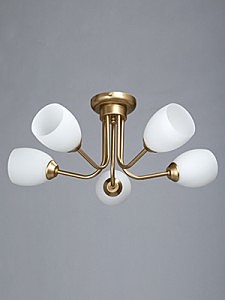 Потолочная люстра V3254 V3254/5PL