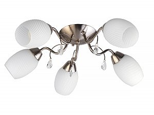 Потолочная люстра Paula TL3550X-05SN