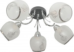 Потолочная люстра Kimberly TL7410X-05BC