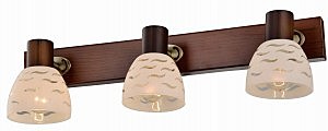 Светильник спот Shayla TL3730Y-03BB