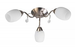 Потолочная люстра Paula TL3550X-03SN