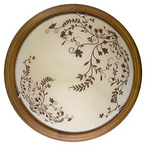 Настенно потолочный светильник Irene TL9630Y-00OA