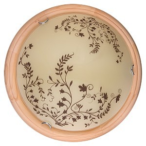 Настенно потолочный светильник Irene TL9630Y-00PN