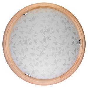 Настенно потолочный светильник Beatrice TL9280Y-00PN