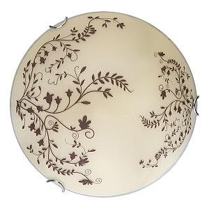 Настенно потолочный светильник Irene TL9631Y-00WH