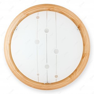 Настенно потолочный светильник Madison TL9033Y-02PN
