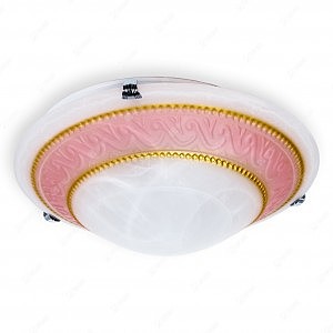 Настенно потолочный светильник Elizabeth TL9091Y-02PK